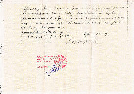 ZENOU Esther -2-.jpg